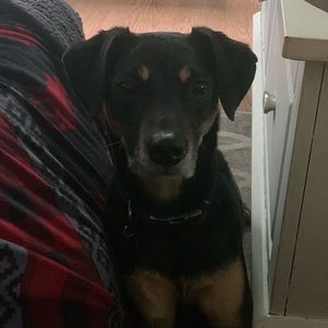 Meet your Posher, Alexandra